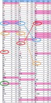 参考図表 width=